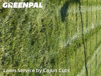 Lawn Maintenance nearby Murfreesboro, TN, 