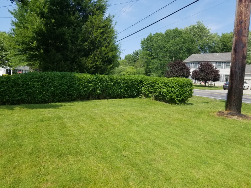 local-lawn-cutting-services-in-Elyria-OH