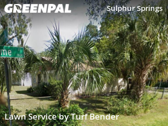 Lawn Service nearby Tampa, FL, 