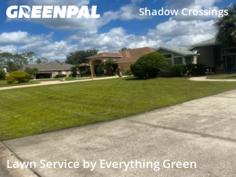Landscaping Maintenance in Ormond Beach, 32174, Backyard Mowing by Everything Green , work completed in Nov , 2025