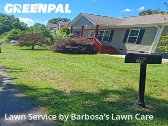 Yard Cutting nearby Asheville, NC, 