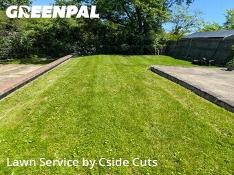Grass Cut nearby North Versailles Township, PA, 