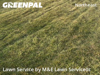 Lawn Cutting nearby Aurora, CO, 