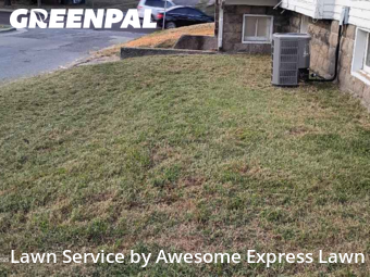 Grass Services in Carbondale, 62901, Yard Grooming by Awesome Express Lawn, work completed in Nov , 2025