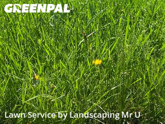 Lawn Mow nearby South Elgin, IL, 