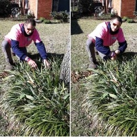 grass-cutting-businesses-in-Farmers Branch-TX