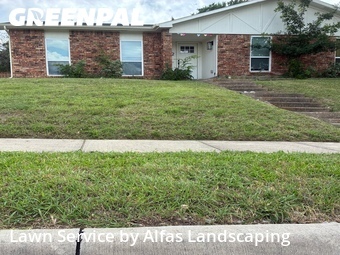 Lawn Carein The Colony,75056,Yard Cutting by Alfas Landscaping, work completed in Jun , 2026