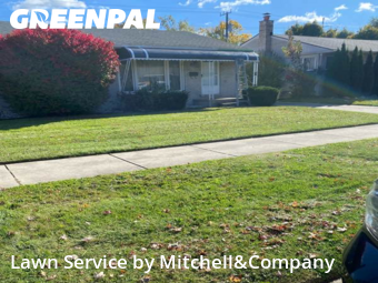 Yard Mowing in Dearborn Heights, 48127, Yard Upkeep by Mitchell&Company, work completed in Nov , 2025