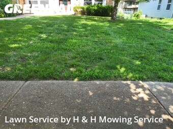 Lawn Care nearby Maryland Heights, MO, 