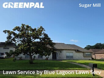 Lawn Cut nearby Sugar Land, TX, 