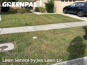 Lawn Care nearby Tampa, FL, 