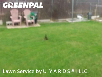 Lawn Maintenance nearby Riverbank, CA, 