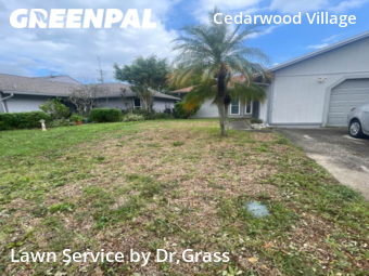 Lawn Maintenance nearby Tampa, FL, 