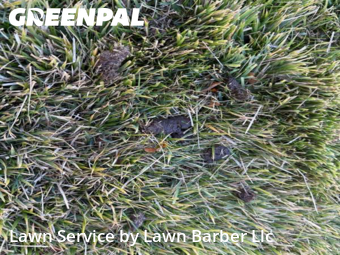 Property Maintenance in Greeley, 80631, Yard Management by Lawn Barber Llc, work completed in Nov , 2025