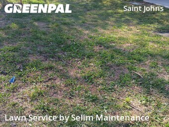 Lawn Cut nearby St. Johns County, FL, 