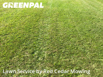 Lawn Care nearby Grand Ledge, MI, 