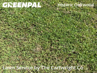 Lawn Mowing Service nearby Raleigh, NC, 