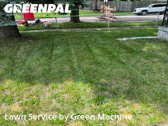 Lawn Cut nearby Royal Oak, MI, 