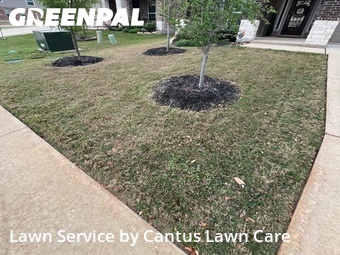 Lawn Care nearby Bulverde, TX, 
