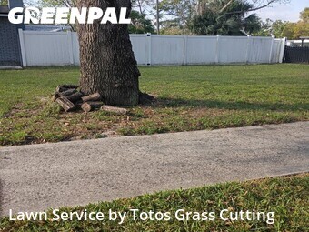 Lawn Mowingin Altamonte Springs,32714,Lawn Maintenance by Totos Grass Cutting, work completed in Jul , 2026