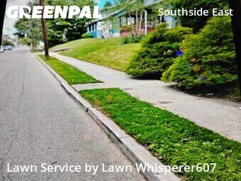 Grass Cut nearby Binghamton, NY, 