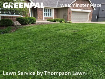 Lawn Carein Shawnee,66216,Grass Cut by Thompson Lawn, work completed in Jun , 2026