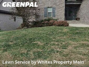 Lawn Care Service nearby Tennessee, TN, 