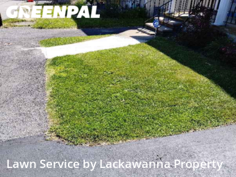 Grass Cut nearby Dunmore, PA, 