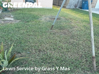 Commercial Landscaping In Brownsville,78526,Landscaping Cleanup by Grass Y Mas , work completed in Nov , 2025