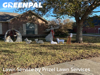 Grass Cutin League City,77573,Grass Cut by Prizel Lawn Services, work completed in Jan , 2026