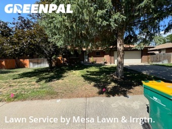 Lawn Cut nearby Littleton, CO, 