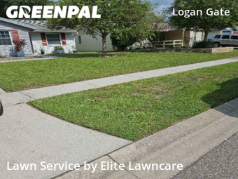 Grass Cut nearby Tampa, FL, 