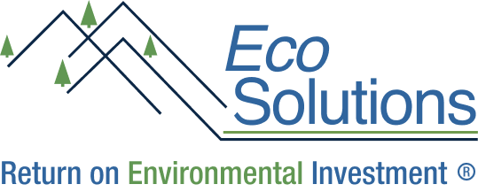 Eco-Solutions Logo