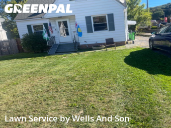 Grass Services in Euclid, 44117, Yard Work by Wells And Son, work completed in Nov , 2025