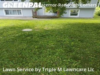 Grass Cutin Kansas City,64119,Lawn Care Service by Triple M Lawncare Llc, work completed in Jul , 2026