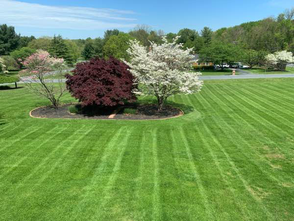cheap-lawn-cutting-businesses-in-Reading-PA