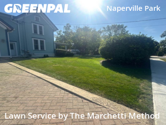 Lawn Work in Plainfield, 60544, Weed Trimming by The Marchetti Method, work completed in Oct , 2025