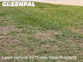 Lawn Care nearby West Palm Beach, FL, 