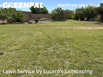 Lawn Cut nearby Albuquerque, NM, 