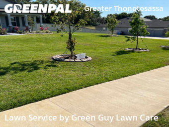 Lawn Maintenance nearby Thonotosassa, FL, 