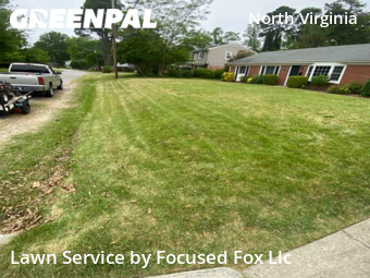 Yard Cutting nearby Virginia Beach, VA, 