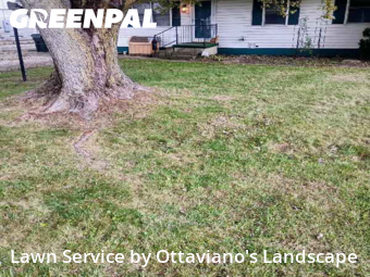 Grass Cutting nearby Marion, OH, 