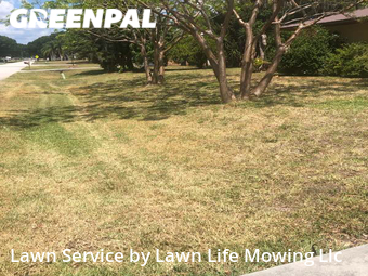 Lawn Cutting nearby Palm Bay, FL, 