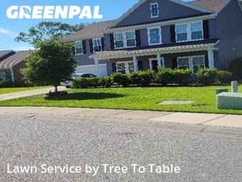 Lawn Cut nearby Charleston, SC, 