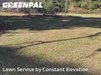 Yard Mowing nearby La Grange, NC, 