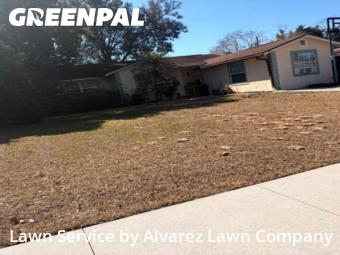 Yard Mowingin Altamonte Springs,32714,Grass Cutting by Alvarez Lawn Company, work completed in Feb , 2026