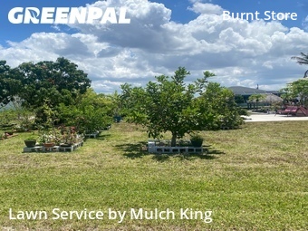 Yard Mowing nearby Cape Coral, FL, 