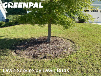 Grass Cutting nearby Belmont, NC, 