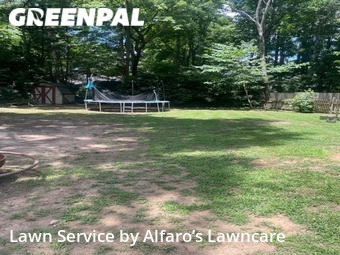 Lawn Mowing nearby Matthews, NC, 