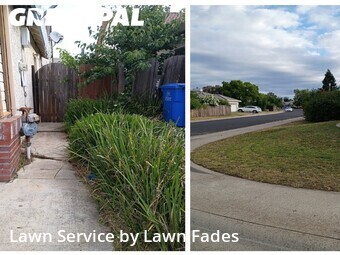 Lawn Mowing Service nearby Elk Grove, CA, 